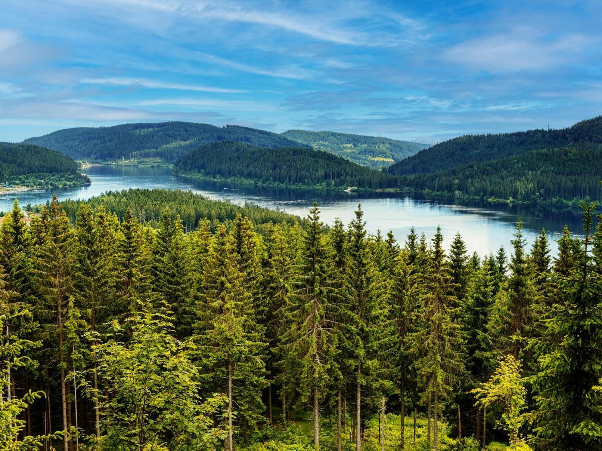 Black Forest Luxury Apartment Baerenhoehle Mit Sauna Schluchsee Ngoại thất bức ảnh