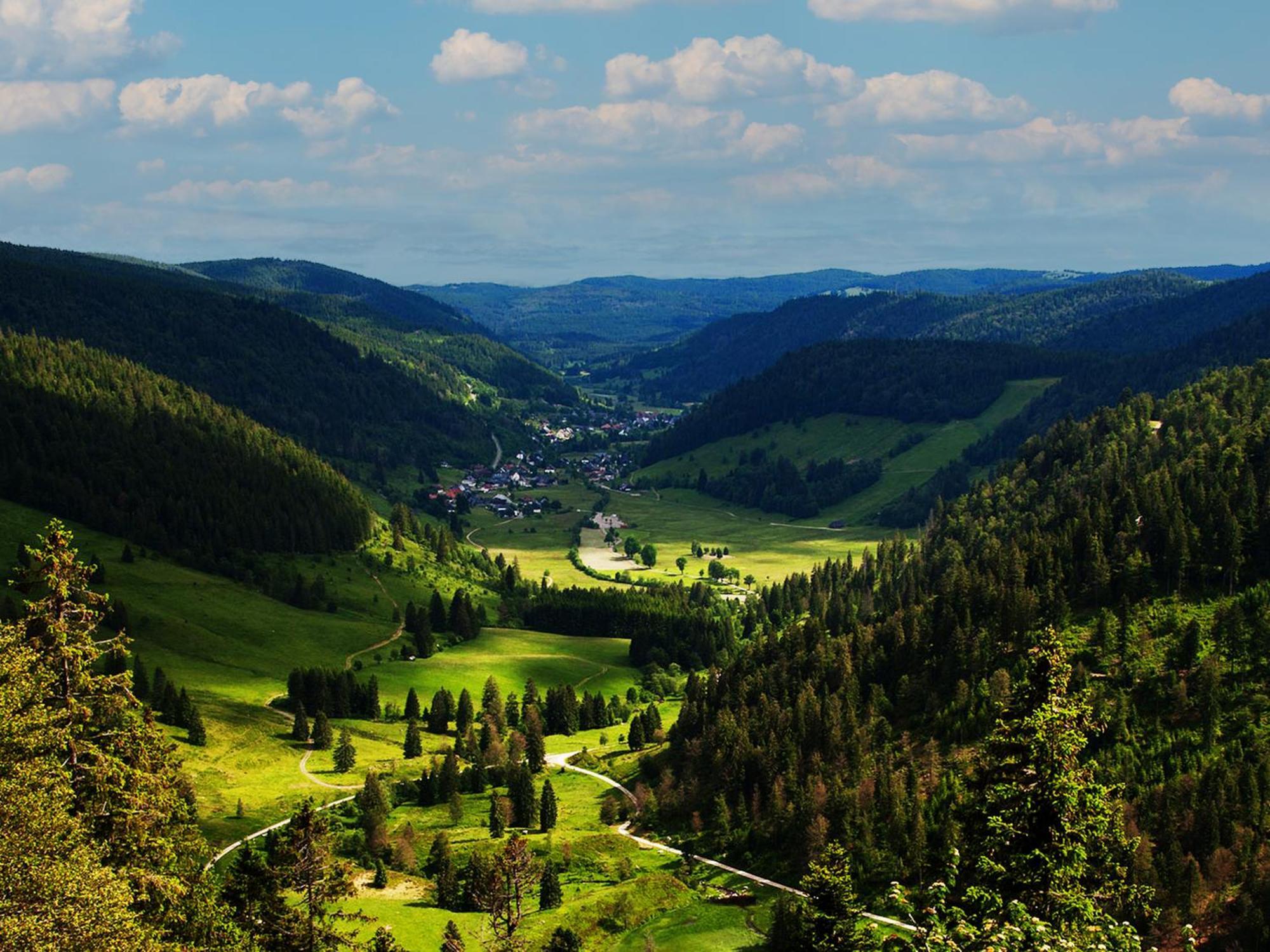 Black Forest Luxury Apartment Baerenhoehle Mit Sauna Schluchsee Ngoại thất bức ảnh