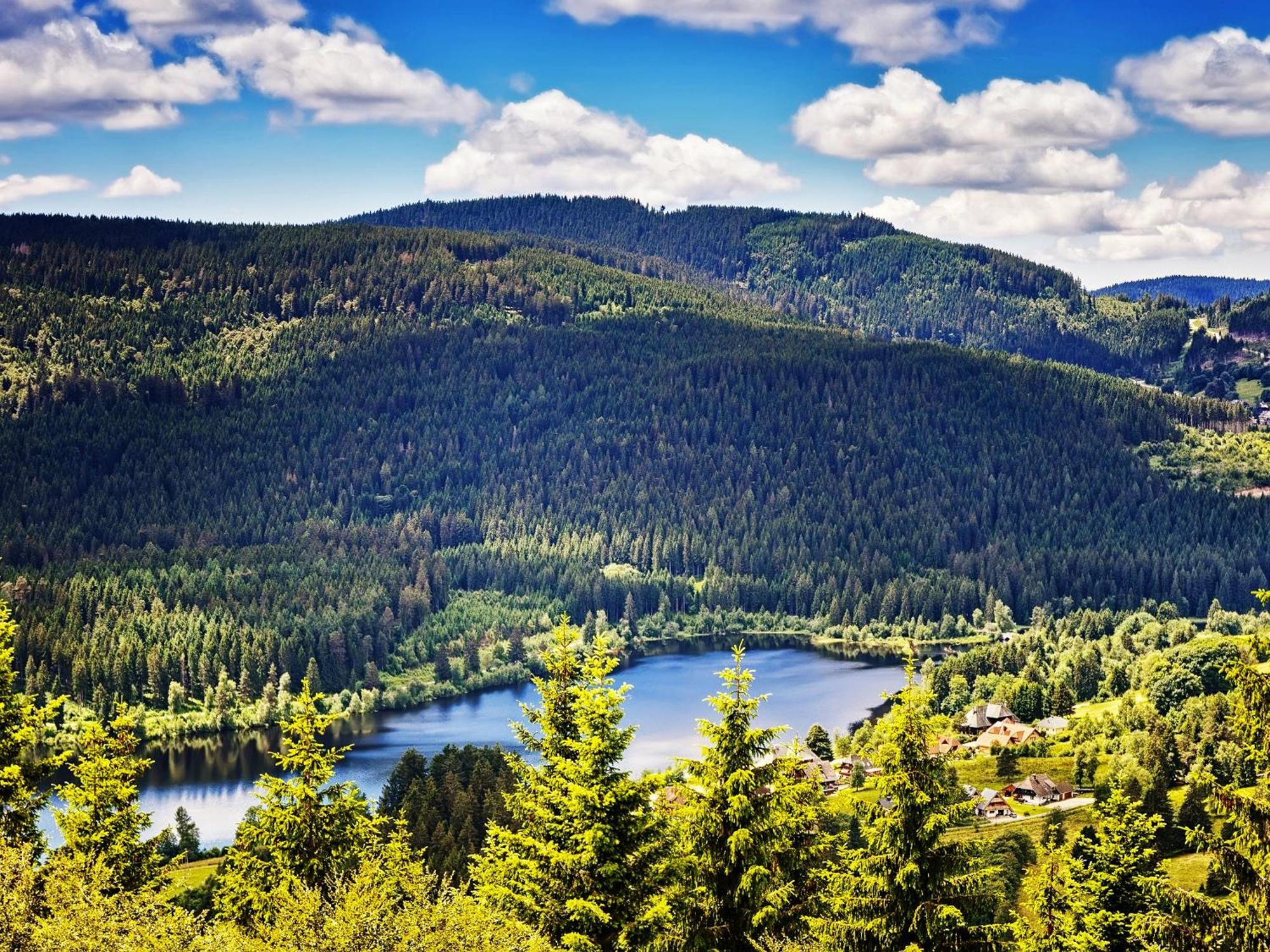 Black Forest Luxury Apartment Baerenhoehle Mit Sauna Schluchsee Ngoại thất bức ảnh